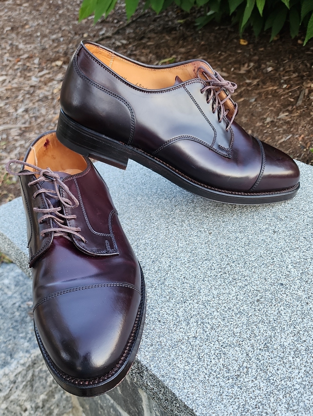 Alden 2160 Straight Tip Blucher Shoes In Color # 8, Shell Cordovan Size 7.5 C/E